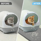 Double-Layer Cat Litter Mat