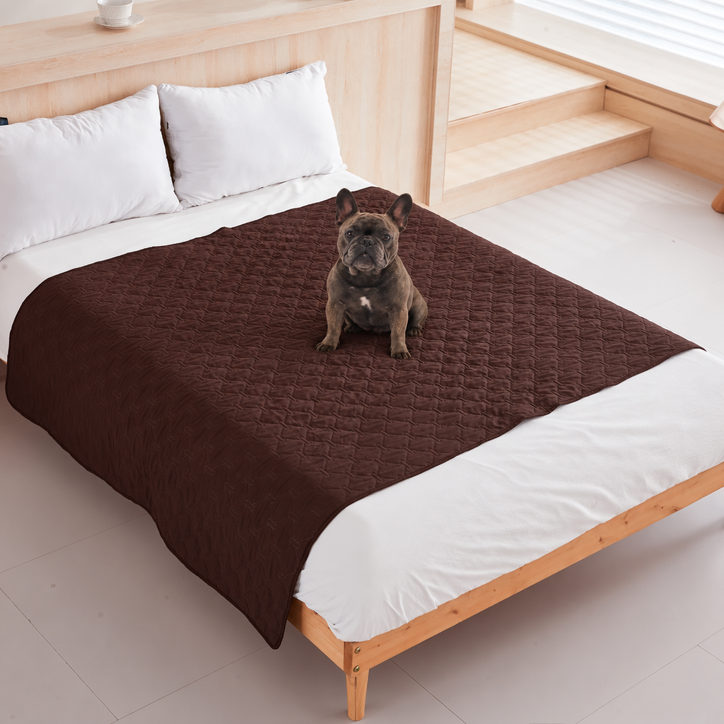 Ragnar seated on the brown quilted Pet Furniture Cover Blanket on a bed.