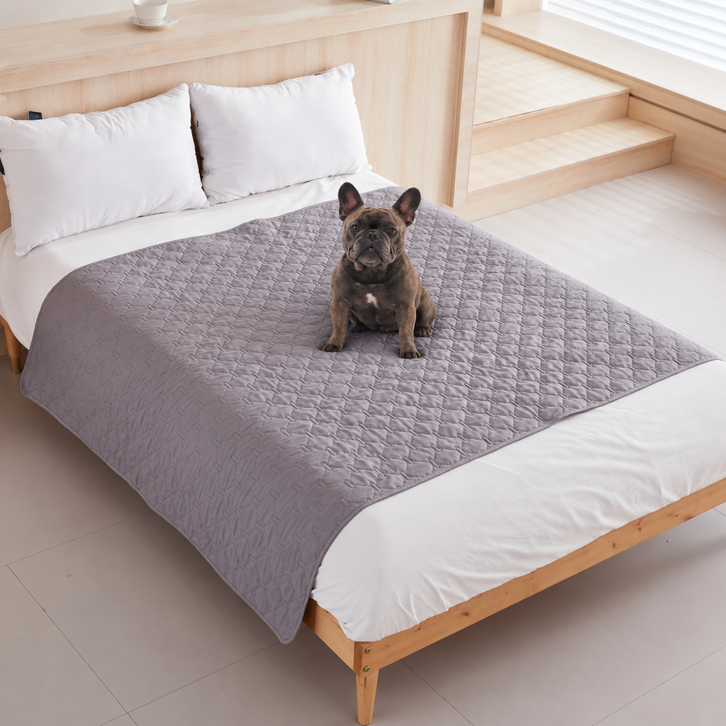 Ragnar seated on the light gray quilted Pet Furniture Cover Blanket on a bed.
