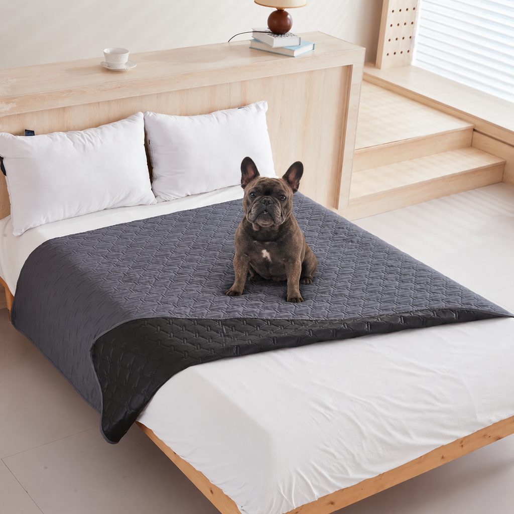 Ragnar seated on the dark gray quilted Pet Furniture Cover Blanket on a bed.