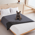 Ragnar seated on the dark gray quilted Pet Furniture Cover Blanket on a bed.