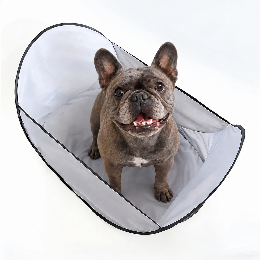 Ragnar standing inside the gray Foldable Grooming Catcher Bib.